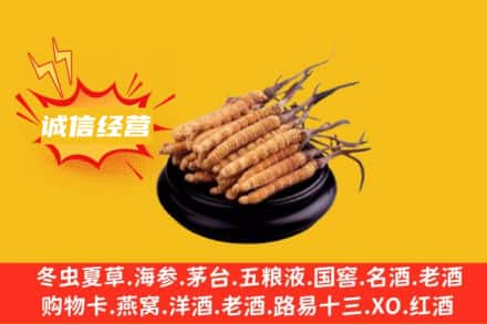 鸡西市鸡冠回收冬虫夏草